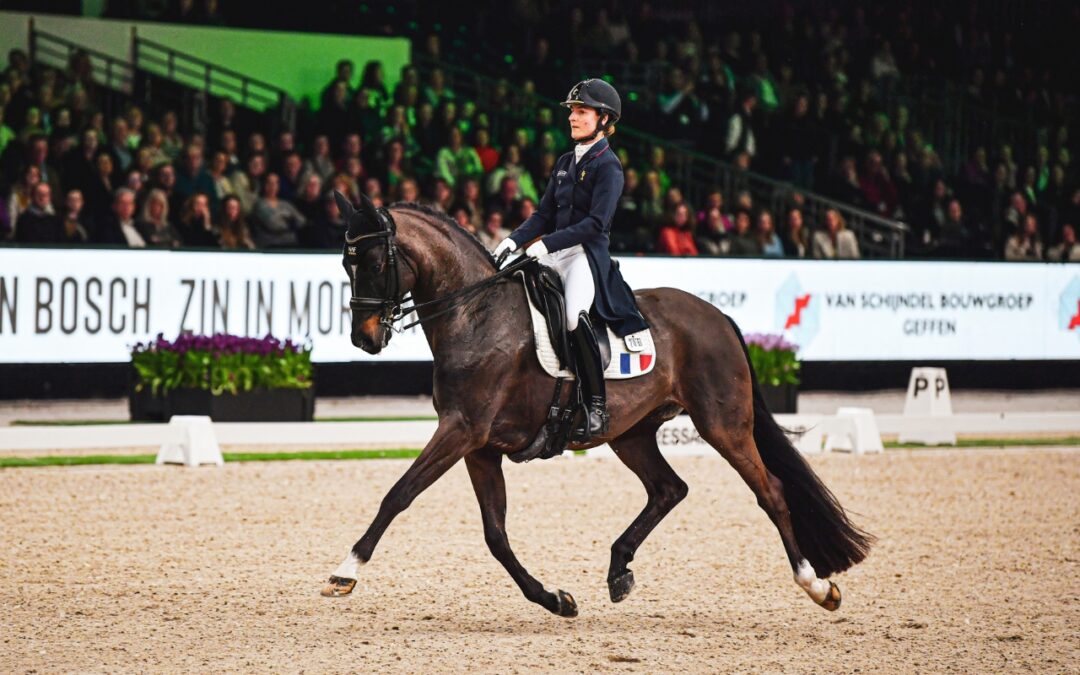 Pauline Basquin, qualifiée pour les JO 2024 en équitation (dressage) - DR